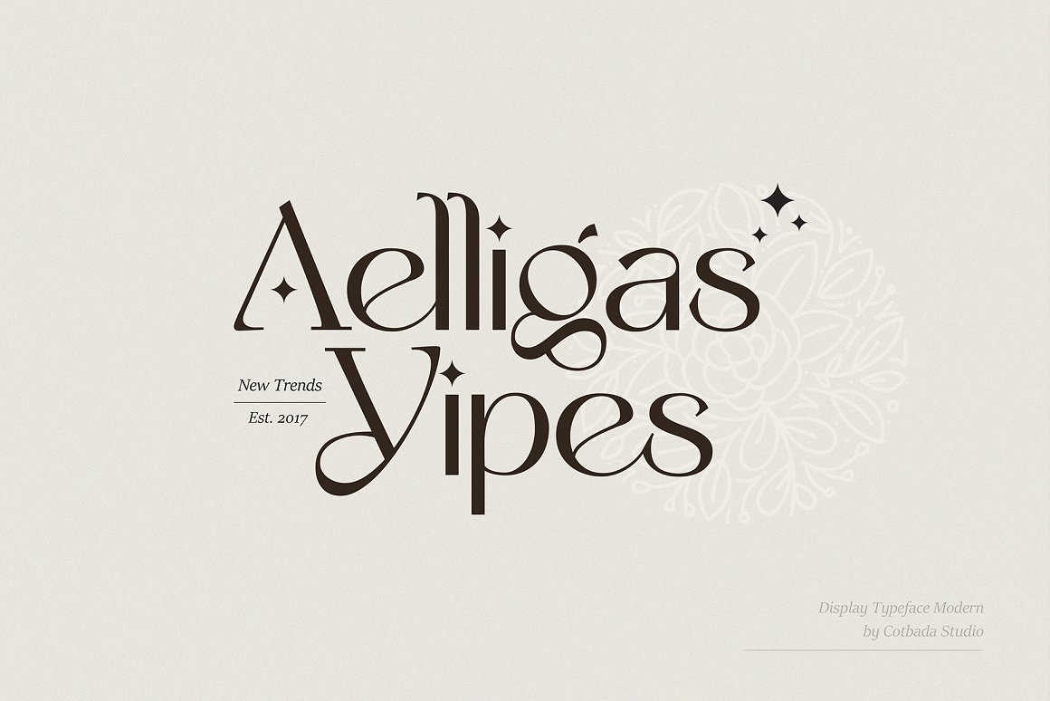 Yipes Display Typeface Font